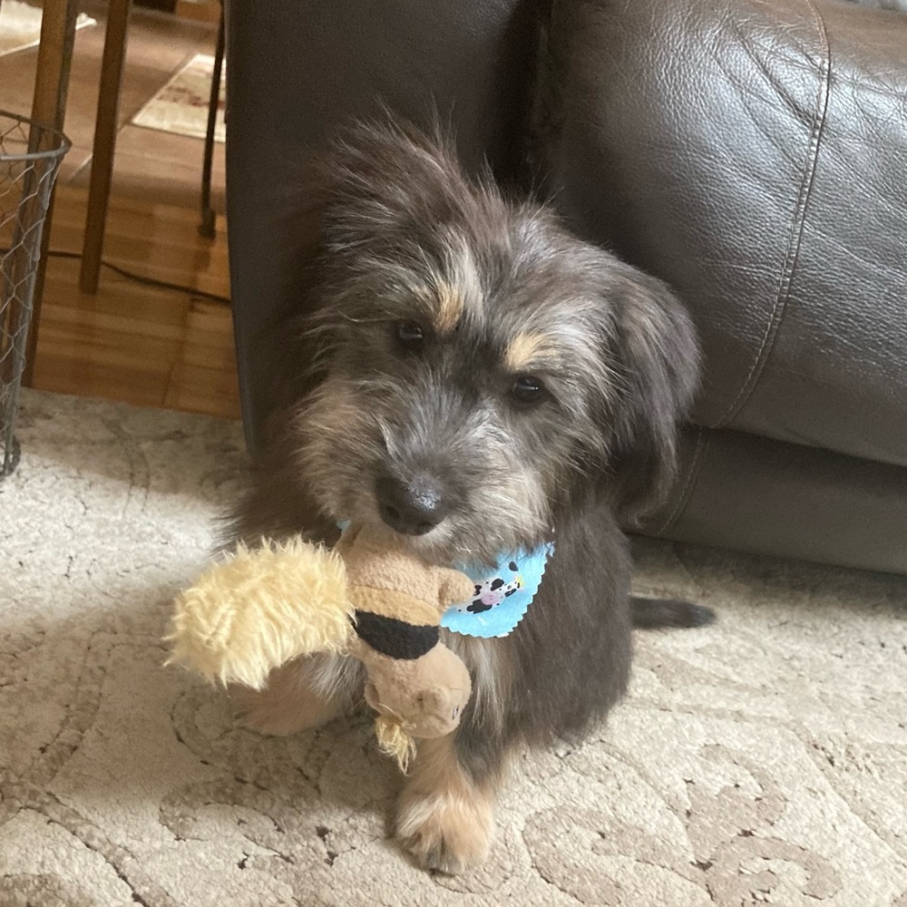 Meet your Posher, Helen